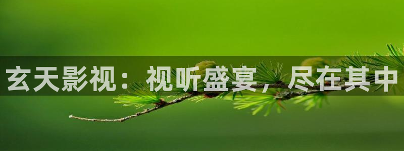 天天欧美影院：玄天影视：视听盛宴，尽在其中