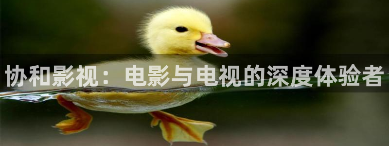 欧美影院必看电影推荐：协和影视：电影与电视的深度体验者