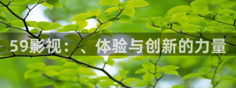 激情欧美影院在线观看：59影视：、体验与创新的力量