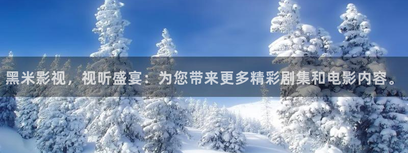 欧美影院另类：黑米影视，视听盛宴：为您带来更多精彩剧集和电影内容。