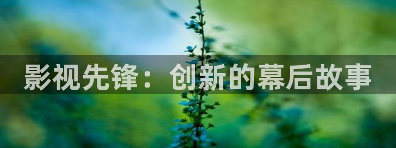 东方影视天天欧美影院：影视先锋：创新的幕后故事