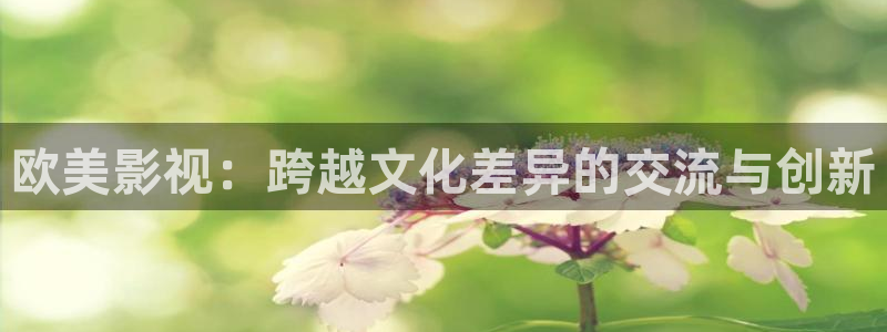 欧美影院子：欧美影视：跨越文化差异的交流与创新